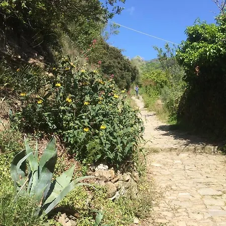 Il Nespolo * Dolceacqua